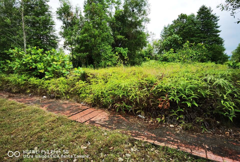 Bungalow Lot 8,000sft Bandar Bukit Mahkota BM9 - photo 3