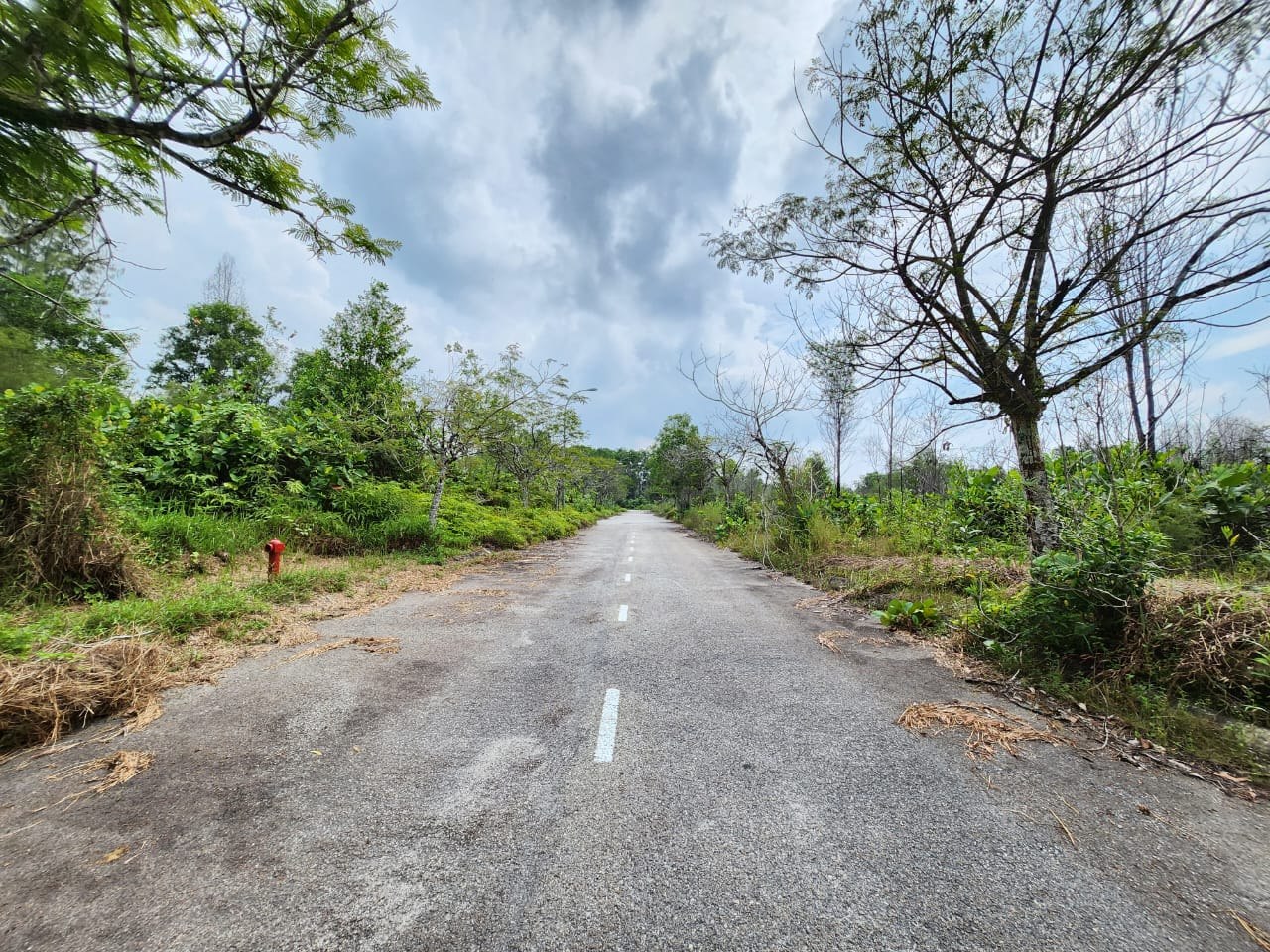 Bungalow Lot Seksyen 7, Bandar Bukit Mahkota, Bangi - photo 3