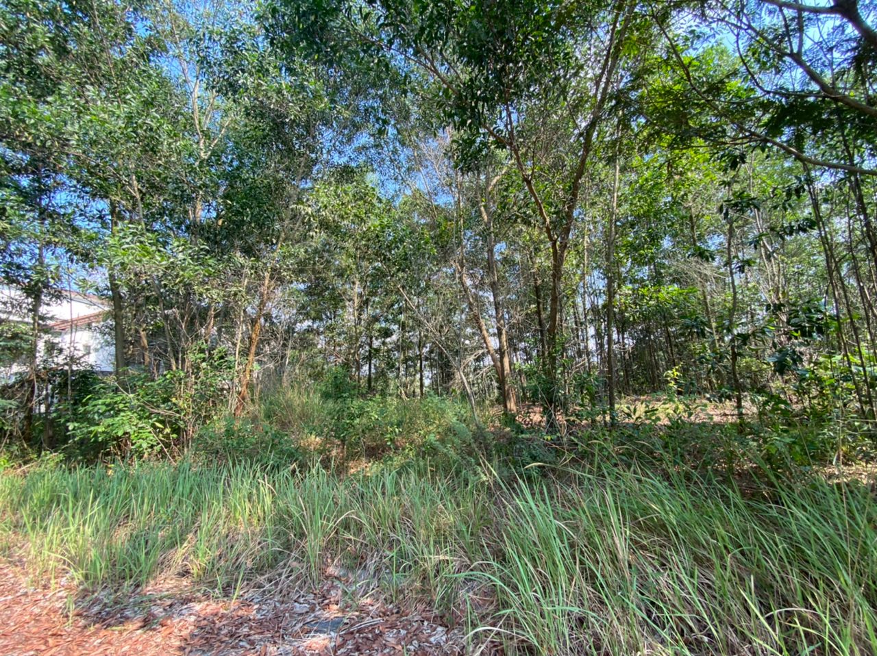 Bungalow Lot Seksyen 7, Bandar Bukit Mahkota, Bangi - photo 6