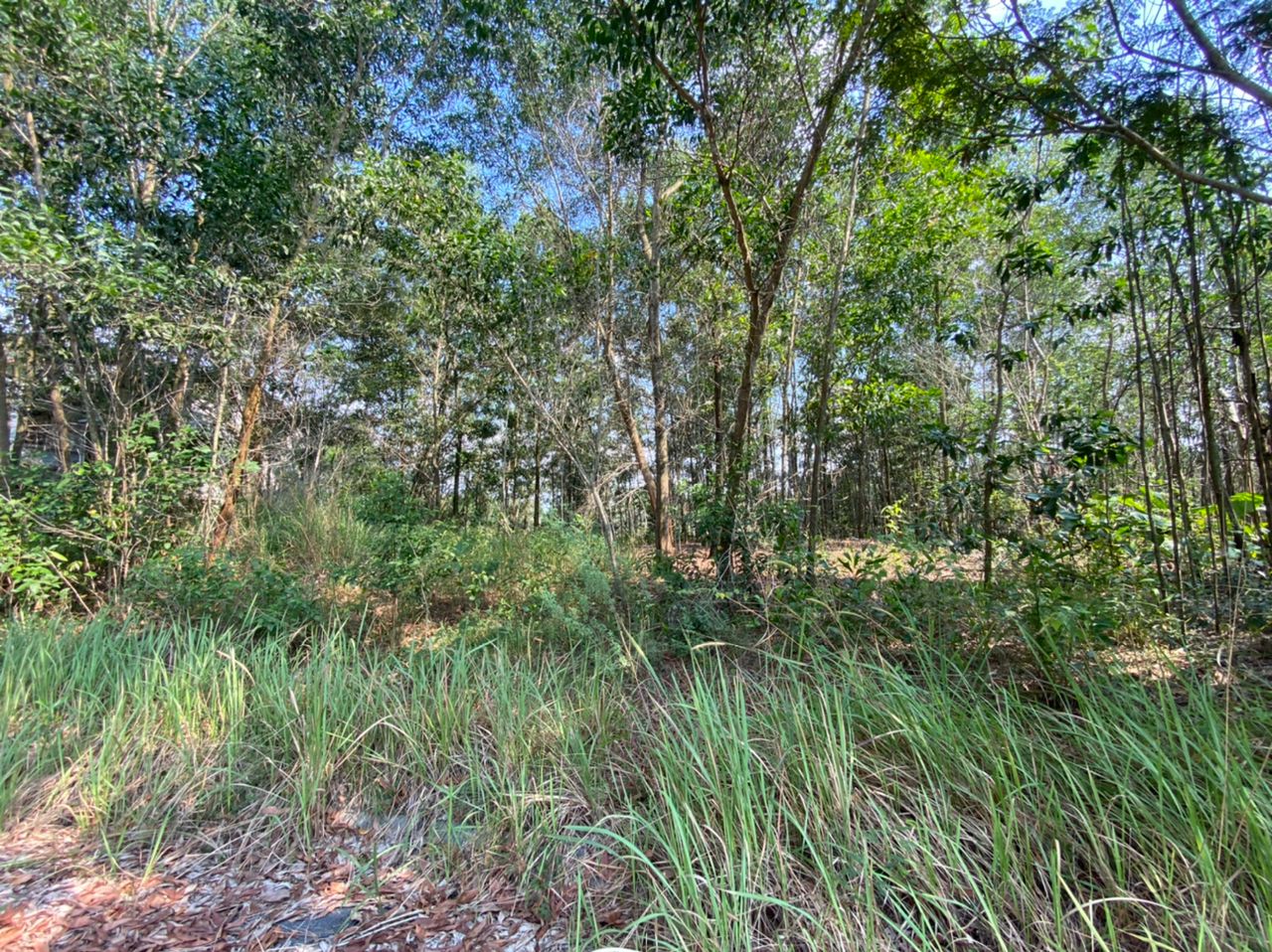 Bungalow Lot Seksyen 7, Bandar Bukit Mahkota, Bangi - photo 7