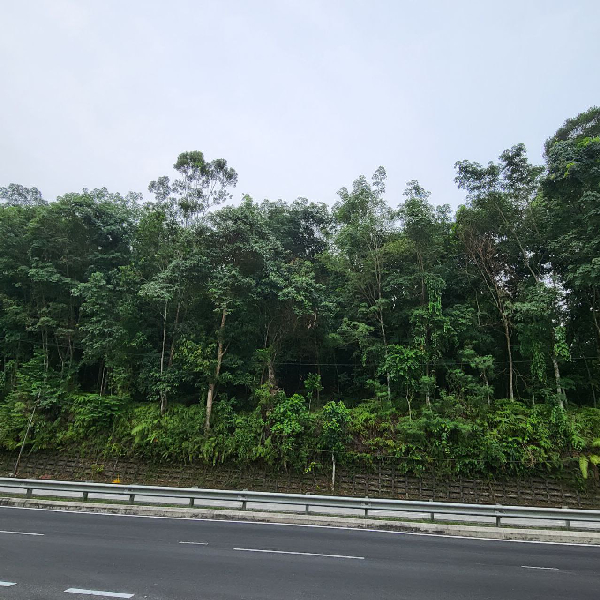 Tanah 1 ekar Jalan Ayer Hitam Sg Merab - photo 3