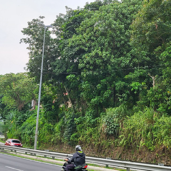 Tanah 1 ekar Jalan Ayer Hitam Sg Merab - photo 7