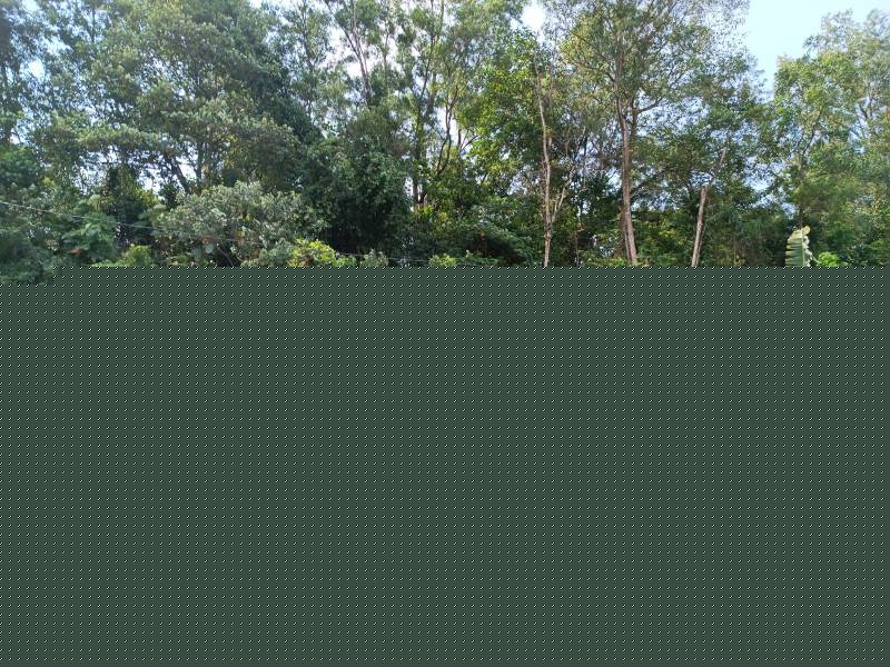 Facing Open End Lot Double Storey Taman Sri Gombak, Fasa 9, Gombak - photo 13