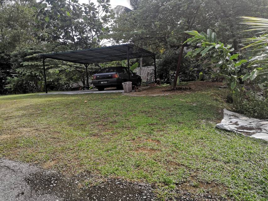Tanah Lot Bungalow Untuk Dijual Di Kampung Kenanga - photo 8