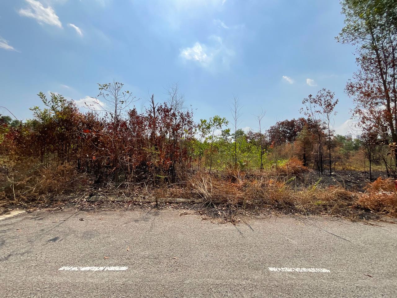 Bungalow Lot In Seksyen 7, Bandar Bukit Mahkota - photo 7