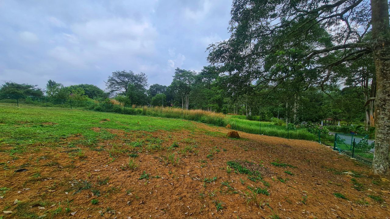Bungalow Lot College Heights Garden Resort Pajam - photo 9