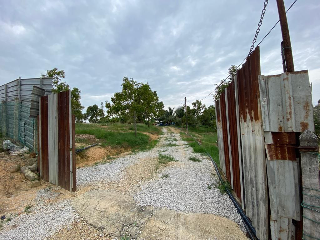 Freehold Durian Farm 4 acre Merlimau Melaka - photo 13