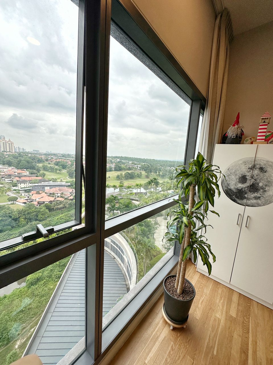 Tropicana Garden Dianthus Unit for Sale by Mannics - photo 5