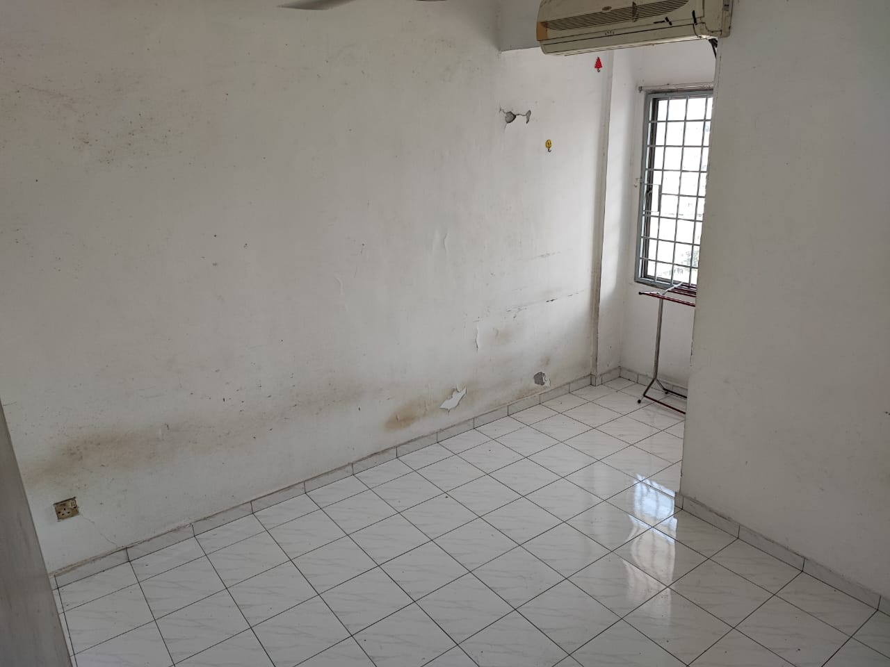 teratai mewah - photo 5