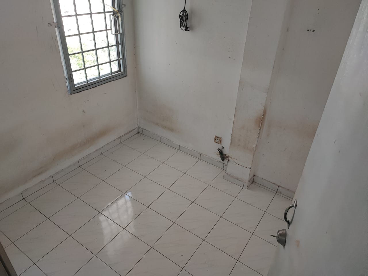 teratai mewah - photo 7