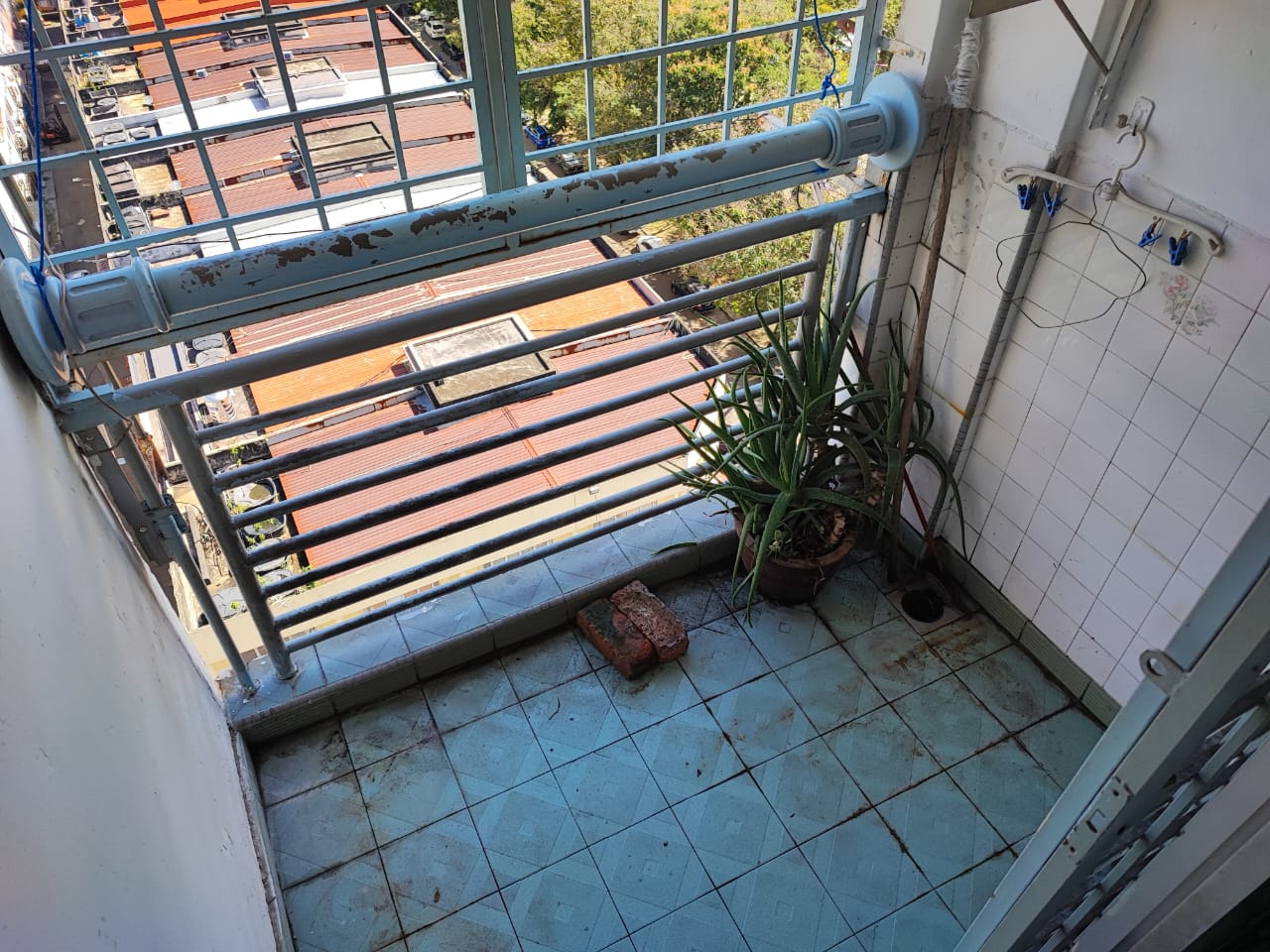 teratai mewah - photo 8