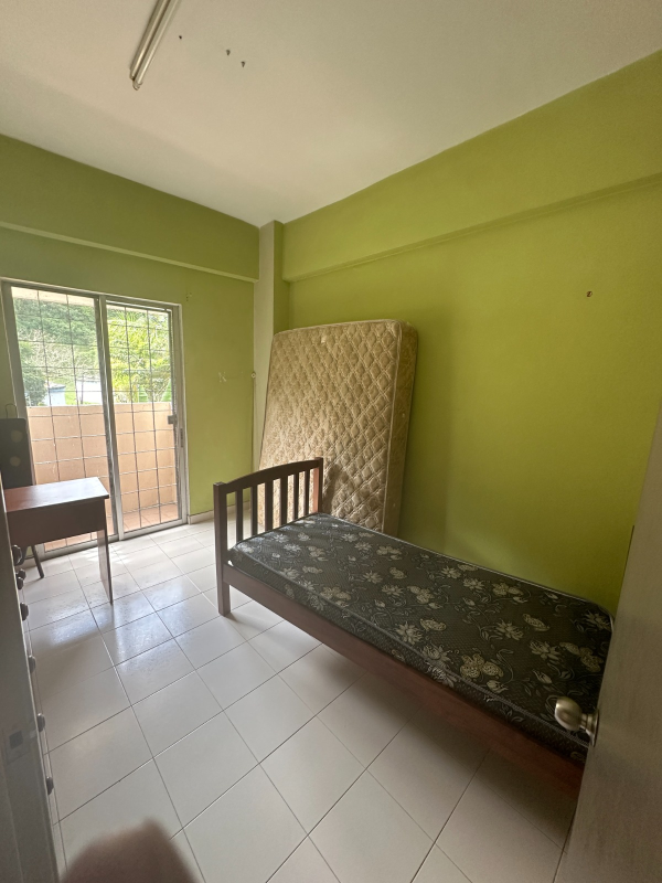 Andari - photo 12