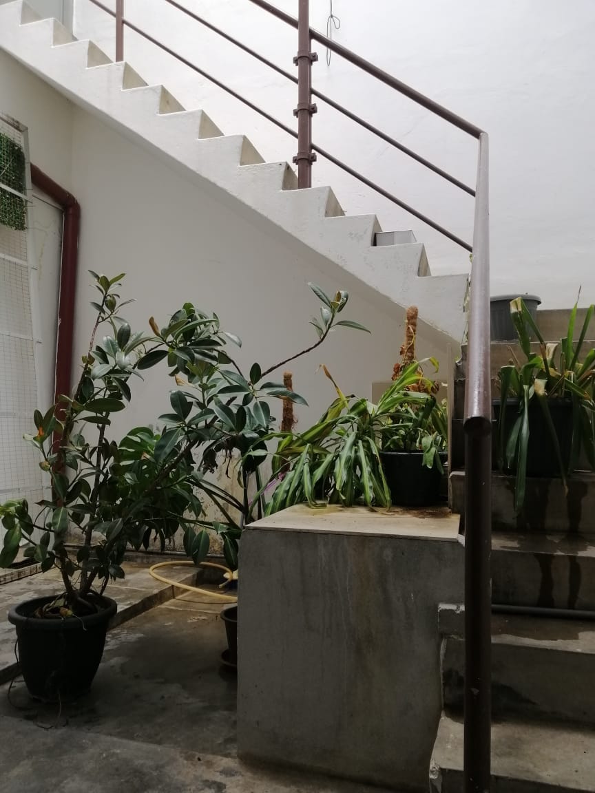 Georgetown Jalan Sungai Ujong Ground Floor - photo 9