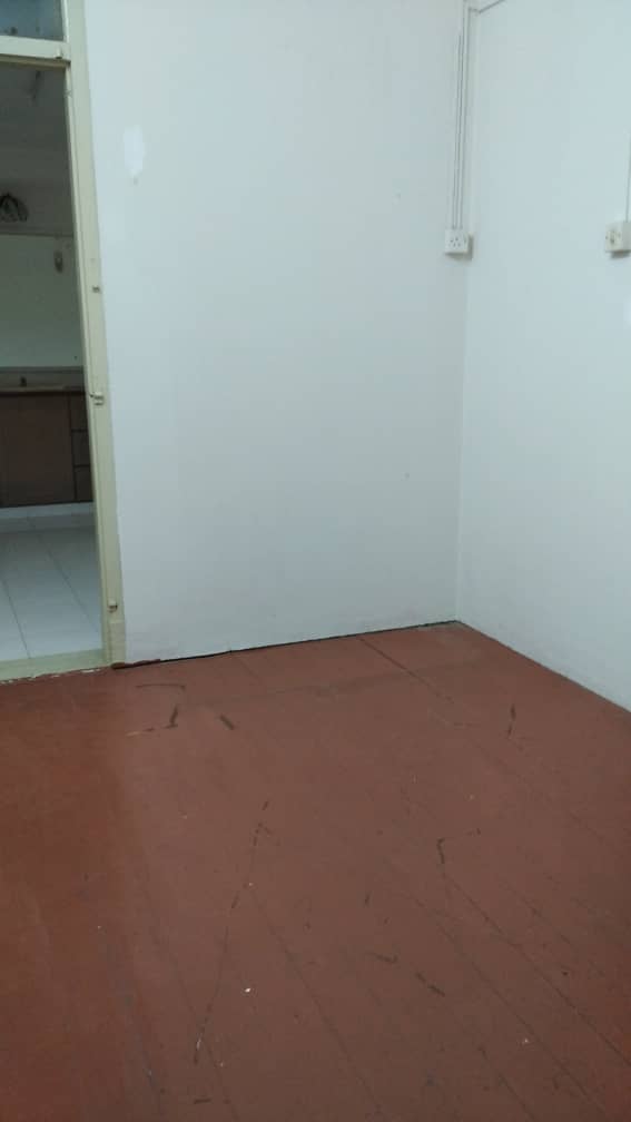 2 Sty Terrace Pulau Tikus Solok Jones 25000sf - photo 3