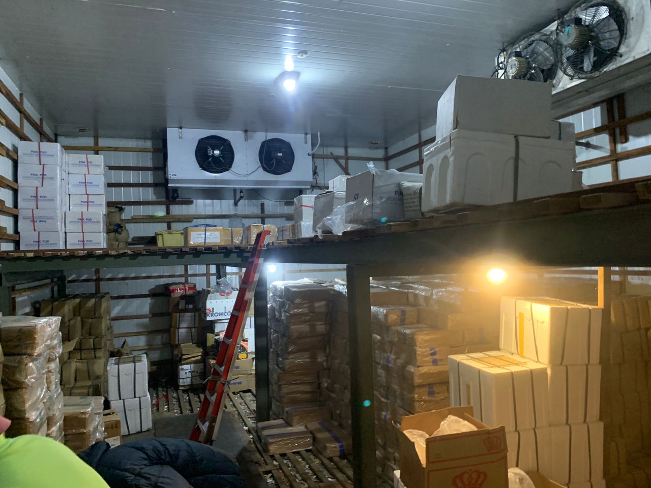 Sungai Pinang Light Industry Warehouse Factory - photo 10