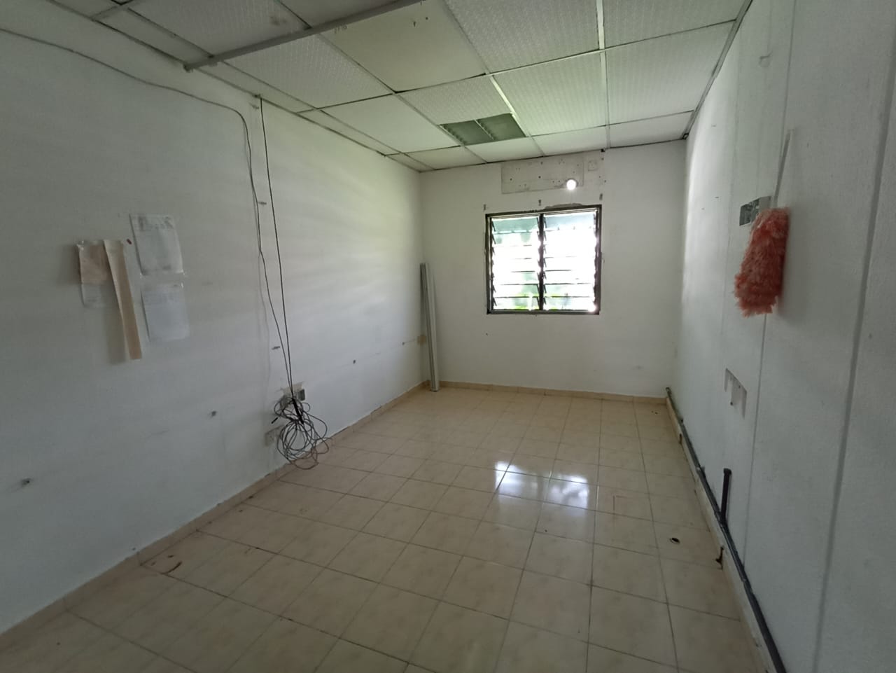 Commercial Bungalow Jalan Gottlieb Pulau Tikus - photo 7