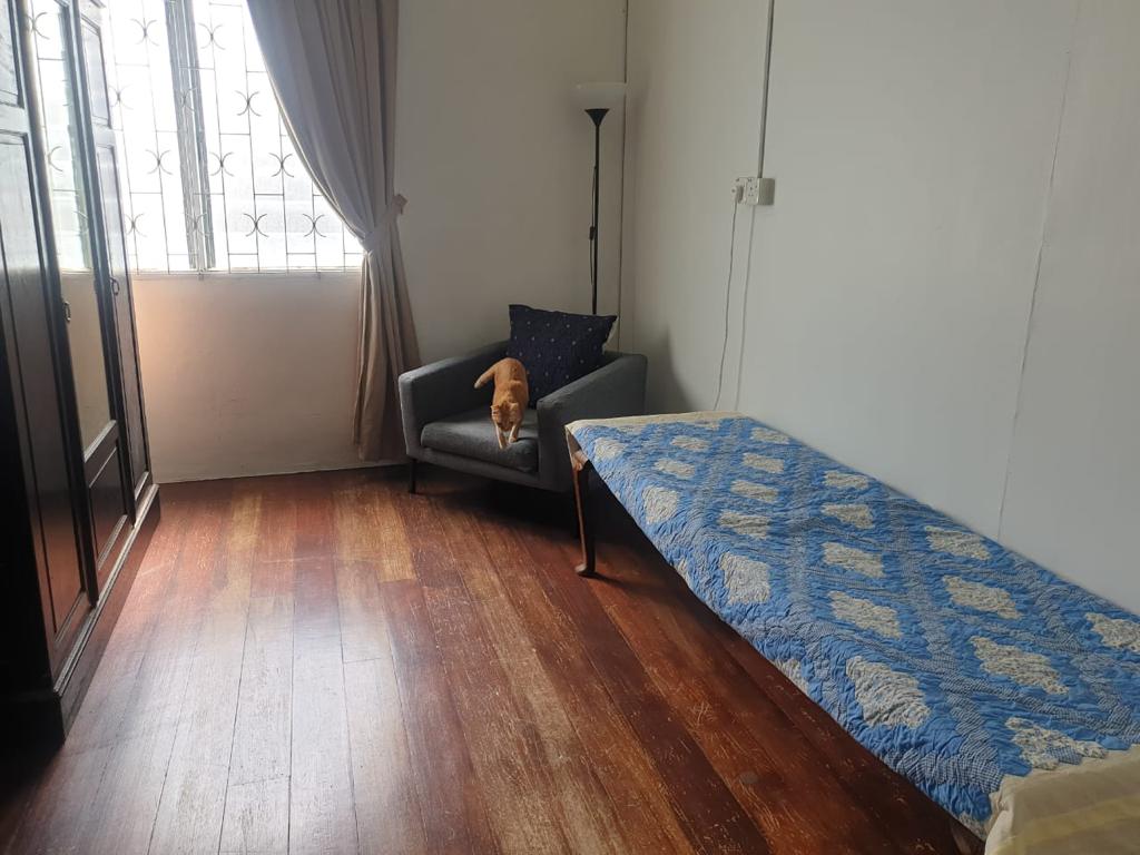 2 Sty Terrace Pulau Tikus Lorong Maktab - photo 7