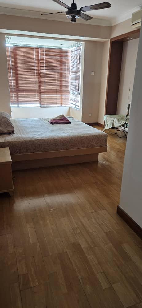 The Regency 4200sf Renovated, Furnish - photo 6