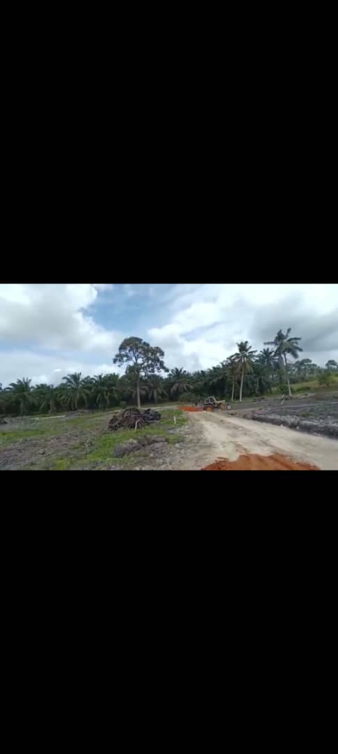 Simpang Renggam Jln Parit Satu 7Acre Resident Land - photo 2