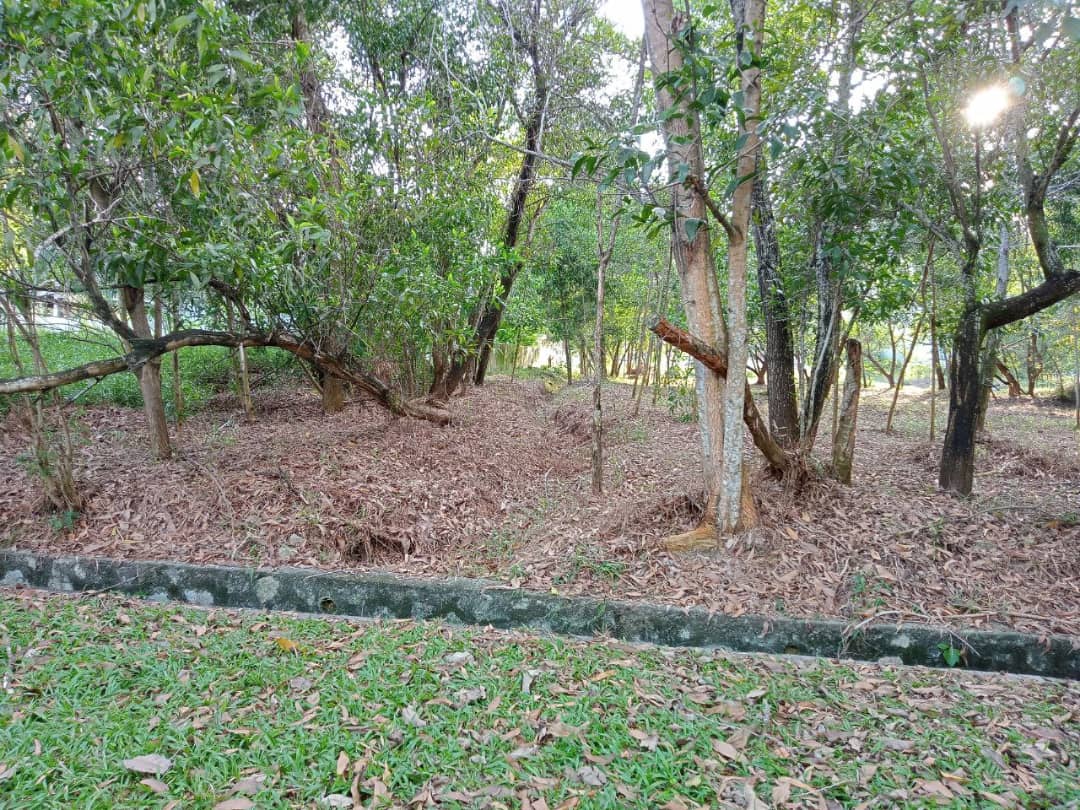 Putra Crest Jalan Harmoni Subang Jaya - photo 10