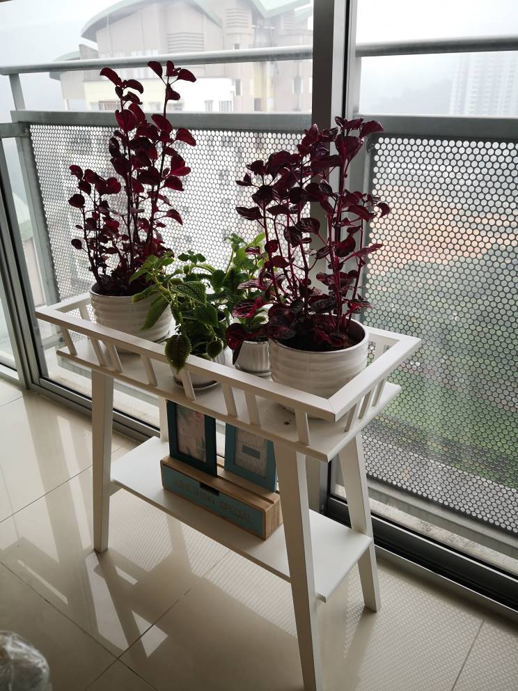 VERVE SUITES FOR RENT - photo 4