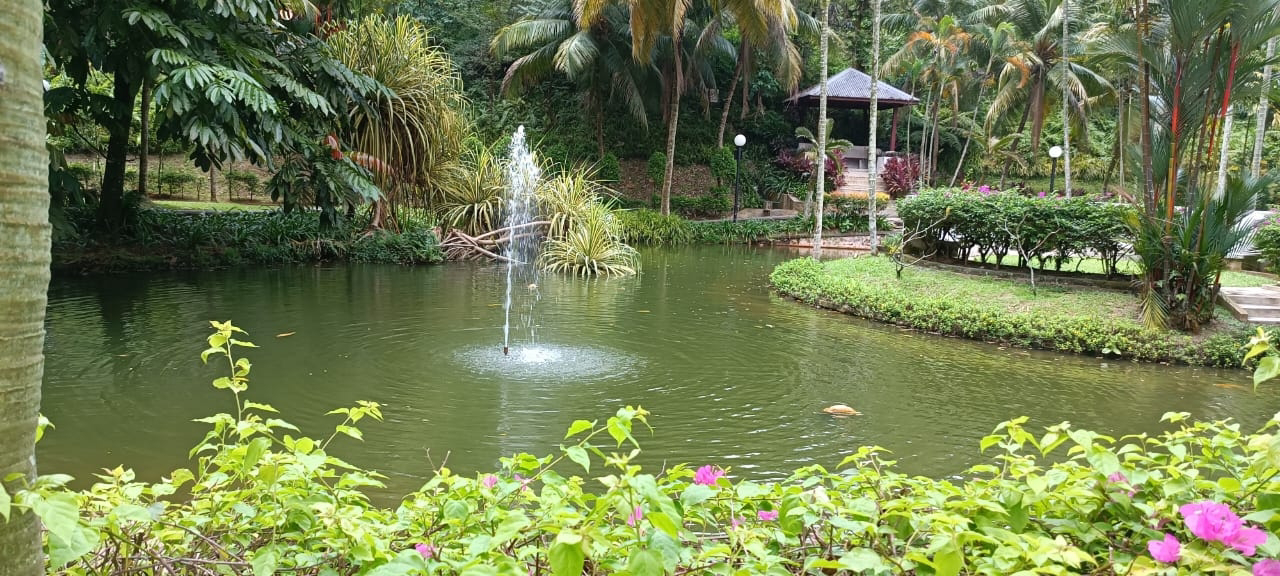 pelangi  - photo 7