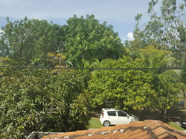 TERES 2 TINGKAT LORONG AZ ZAHARAH PUNCAK ALAM - photo 6