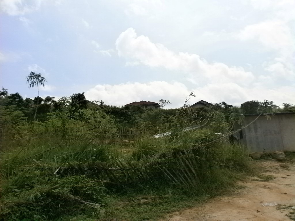 Bungalow Lot, Hulu L ...