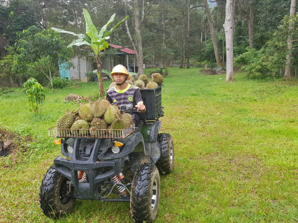 Tanah Pertanian Kg Sg Mahang Nilai Eco Resort - photo 5