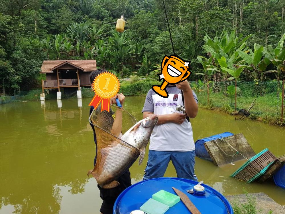 Tanah Pertanian Kg Sg Mahang Nilai Eco Resort - photo 8