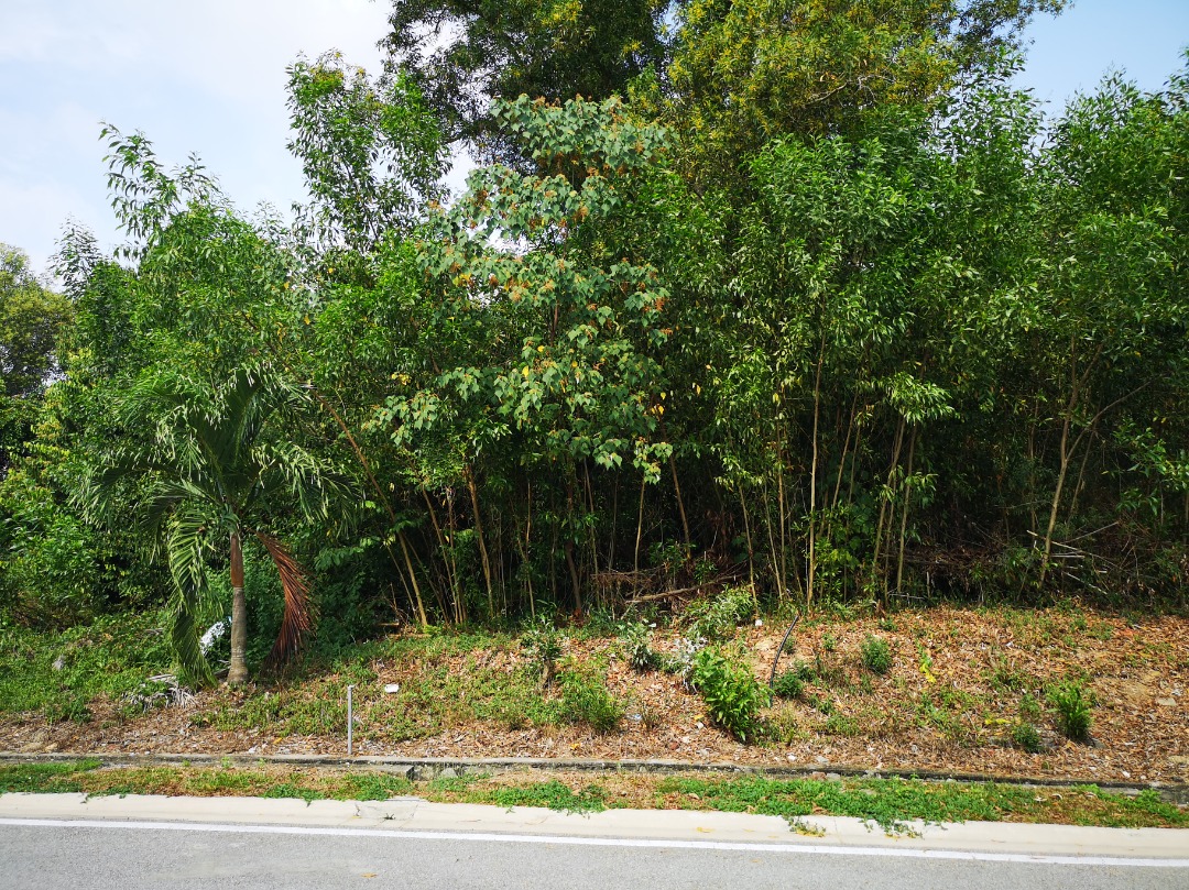 Bungalow lot Putra Hills Residency Bdr Seri Putra - photo 2