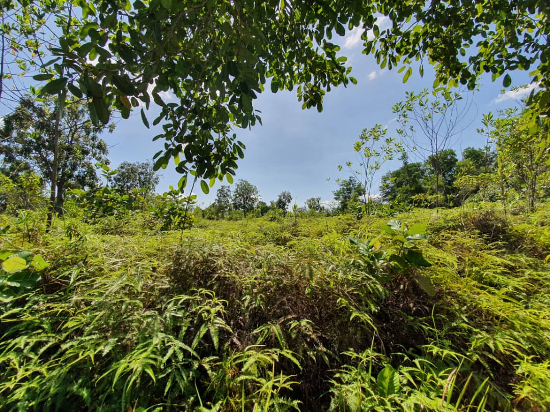 DUAL FRONTAGE CORNER BUNGALOW LOT BUKIT MAHKOTA - photo 4