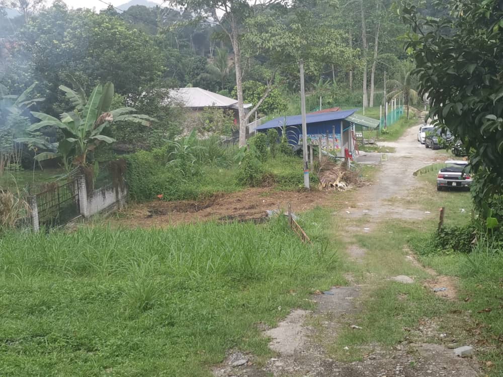 Tanah Pertanian Sungai Lui Hulu Langat Batu 20 - photo 2