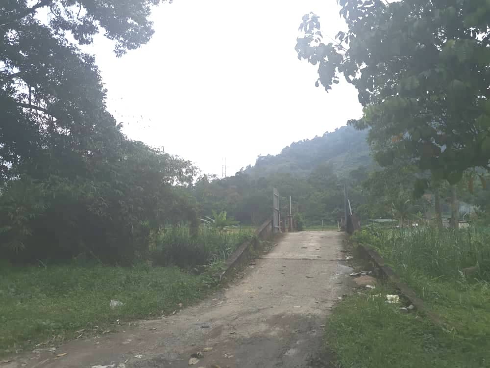 Tanah Pertanian Sungai Lui Hulu Langat Batu 20 - photo 4