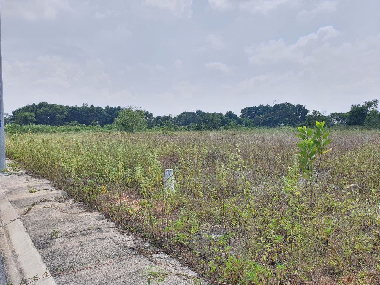 Lot Bungalow Subang Bestari Seksyen U4 SHAH ALAM - photo 4