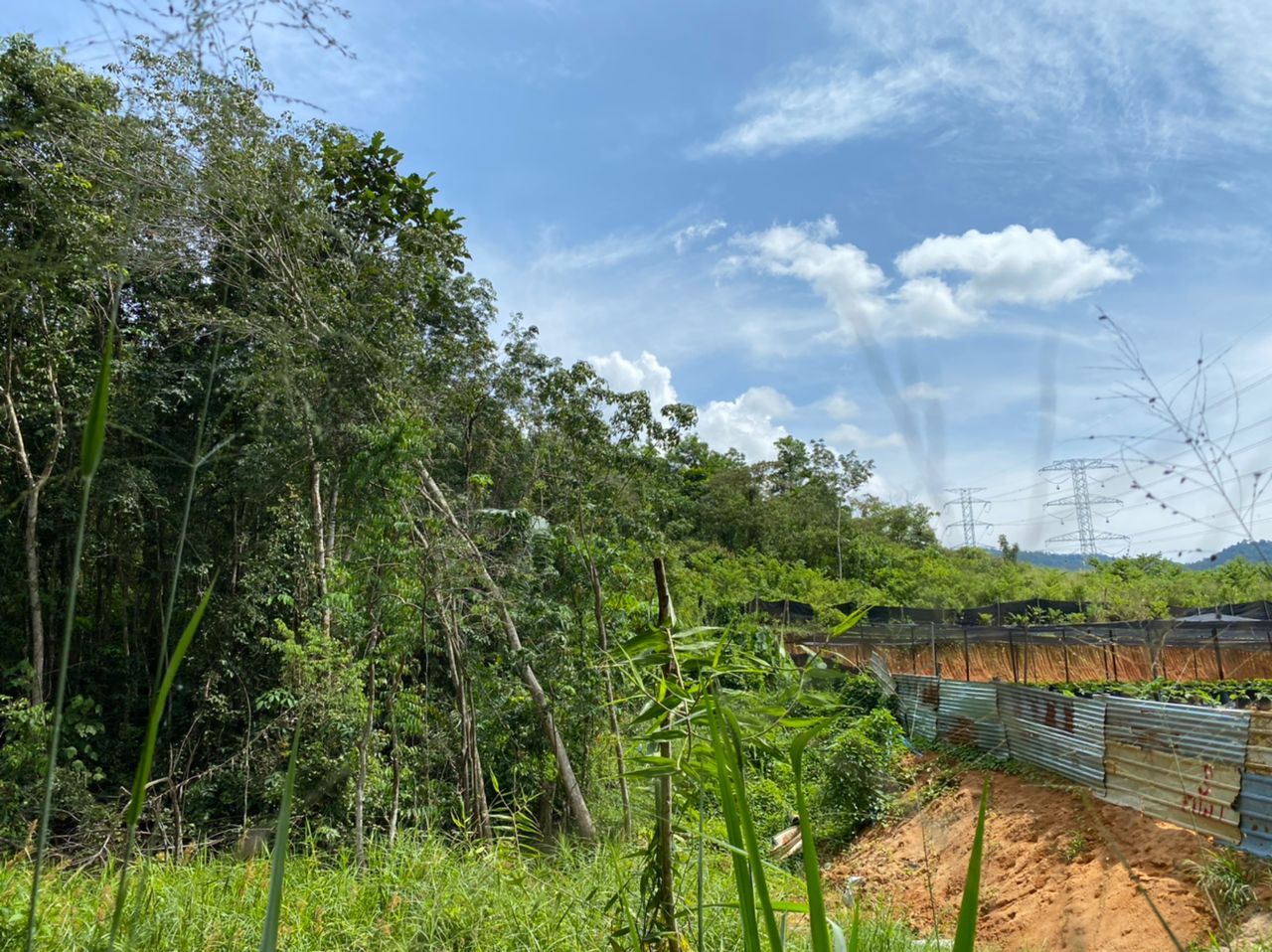 Tanah Pertanian Lenggeng Negeri Sembilan - photo 2