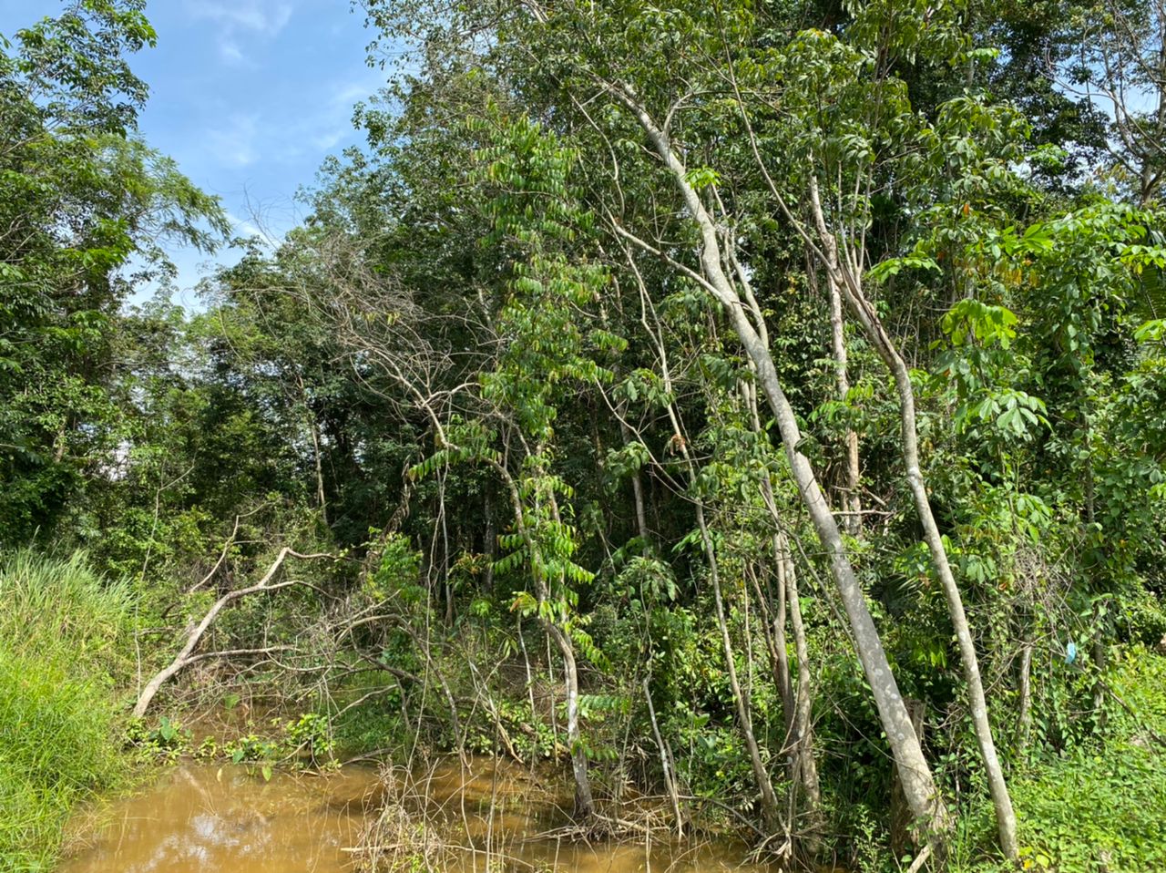 Tanah Pertanian Lenggeng Negeri Sembilan - photo 3
