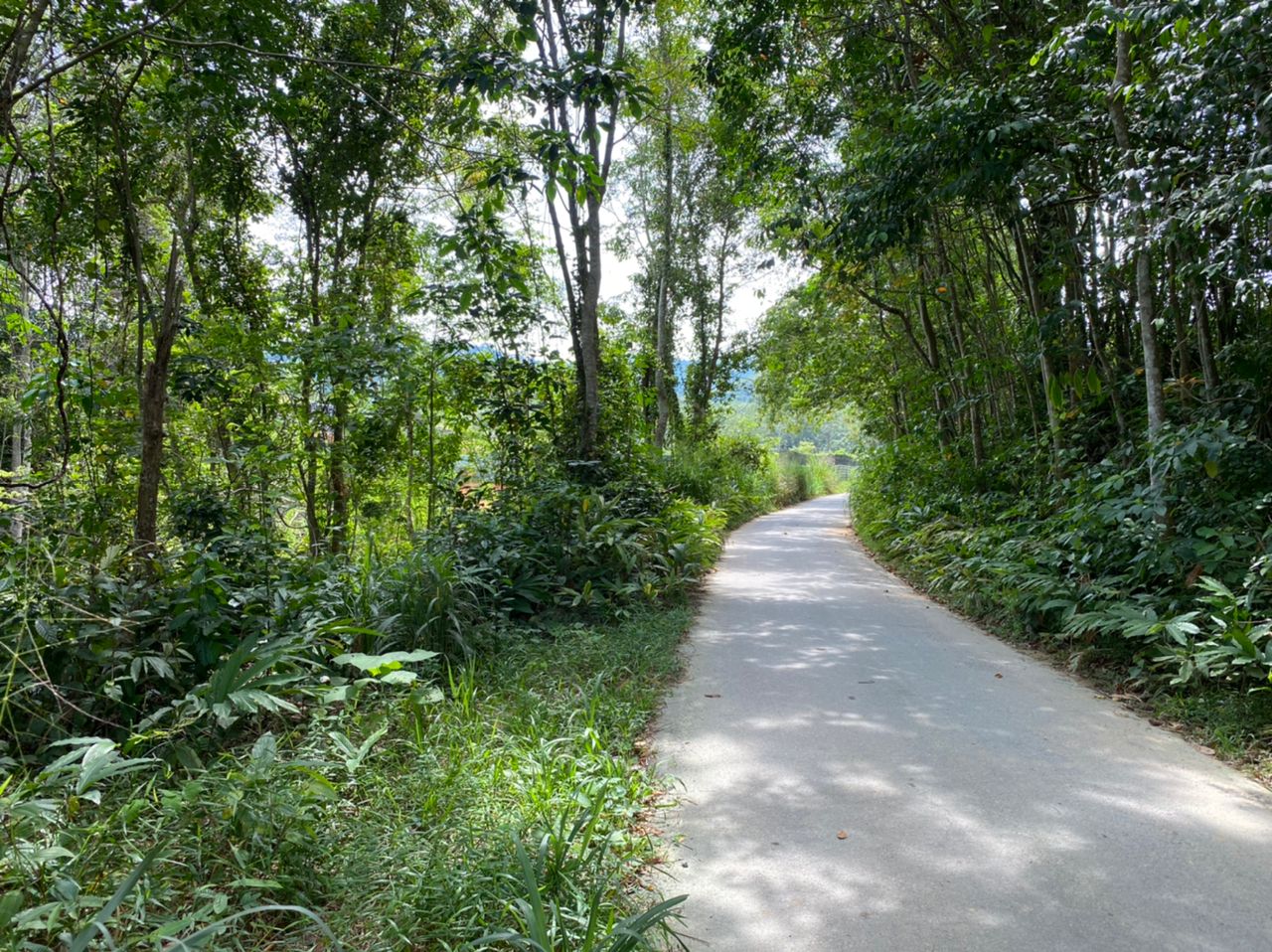 Tanah Pertanian Lenggeng Negeri Sembilan - photo 7