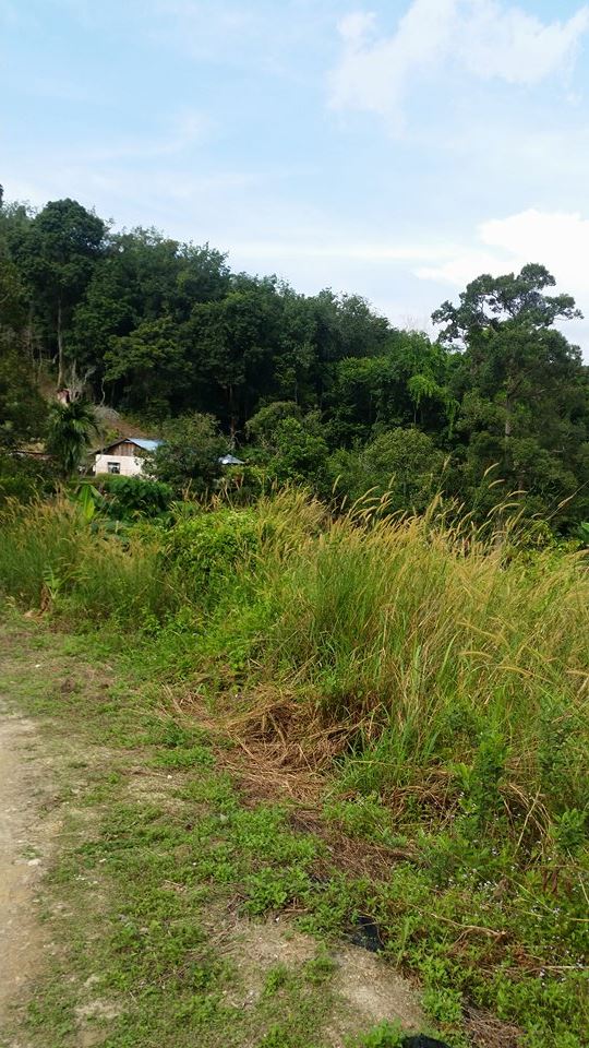 Bayan Lepas, - photo 7