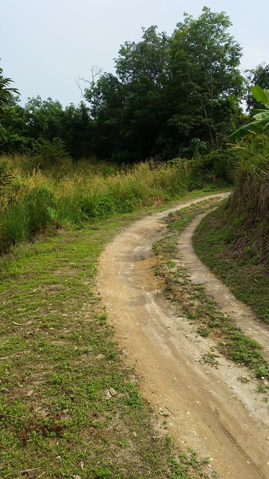 Bayan Lepas, - photo 2
