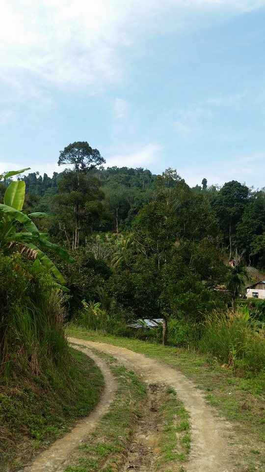 Bayan Lepas, - photo 3