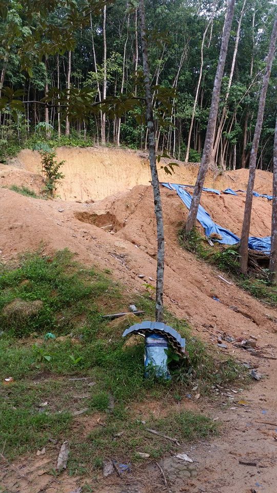 Bayan Lepas, - photo 6