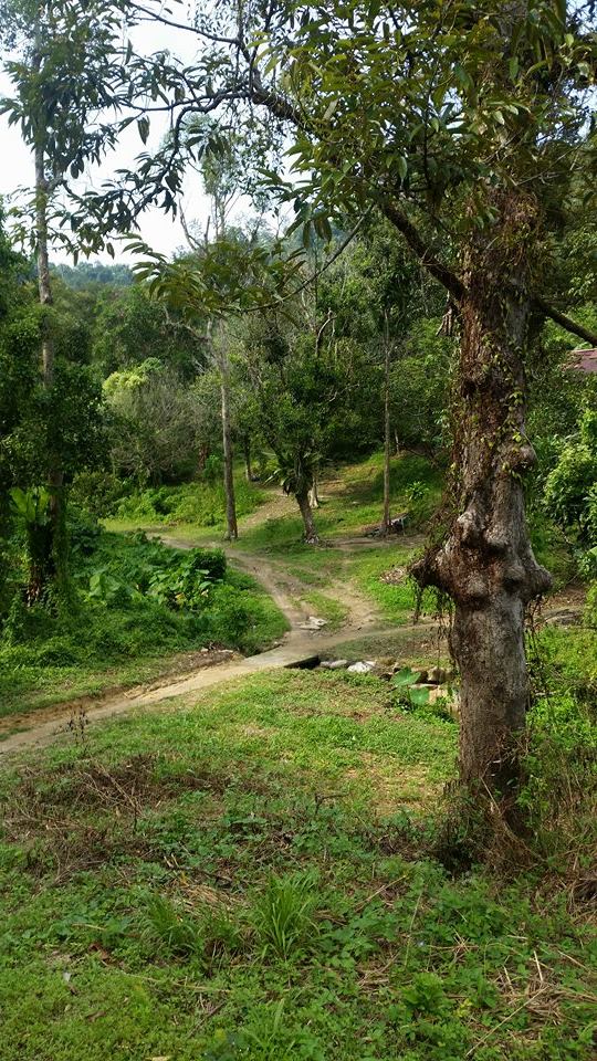 Bayan Lepas,