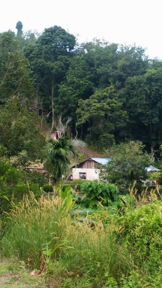 Bayan Lepas, - photo 4