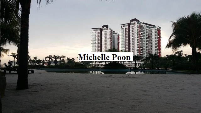 Le Yuan Condominium for sale - photo 3