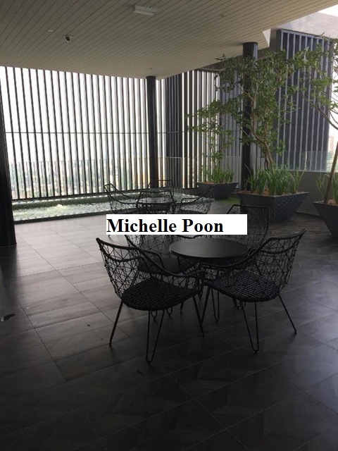 The Leafz Brand New Condominium for Sale - photo 5