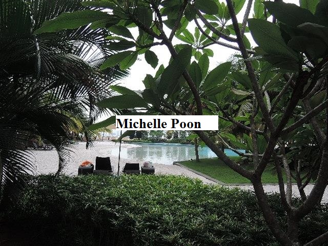 Le Yuan Residence For Sale - photo 7