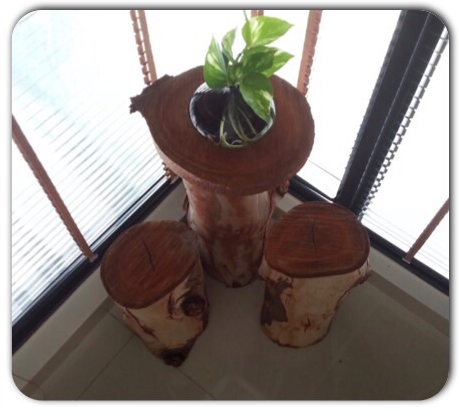The Leafz For Sale - photo 6