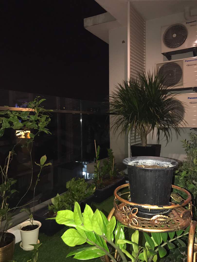 Le Yuan Residence - photo 10