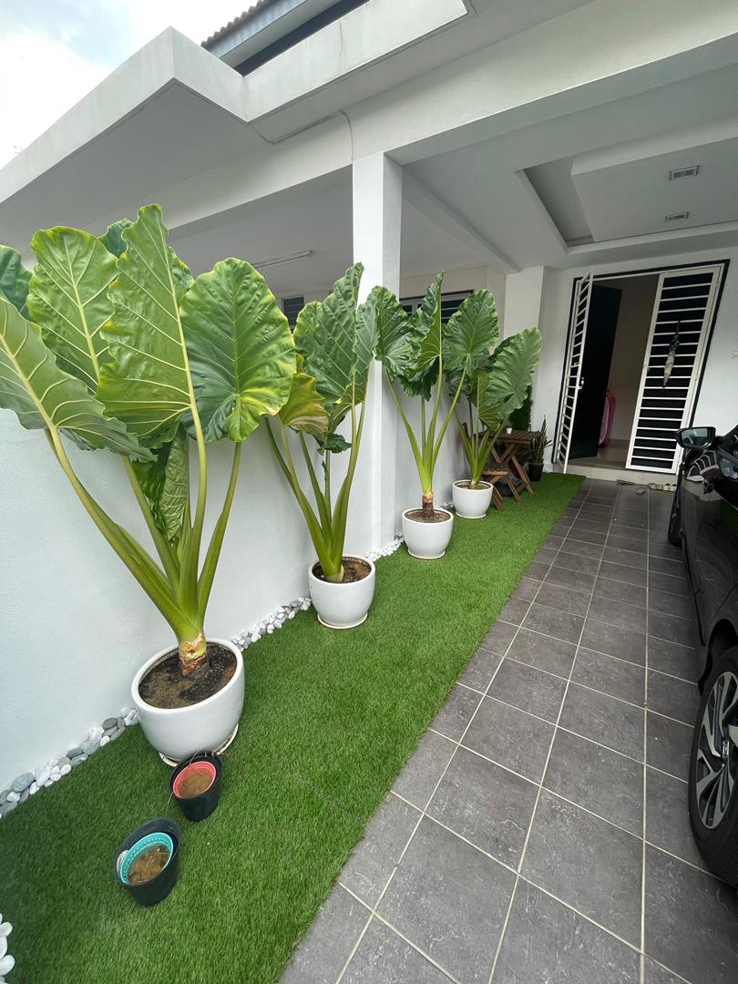 BELOW MV Double Storey Bangi Avenue 1 for SALE - photo 5